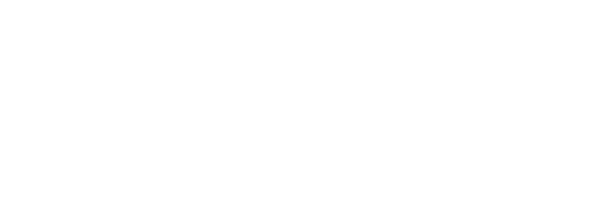 Flagship Group Logo